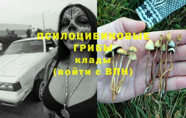 apvp Беломорск