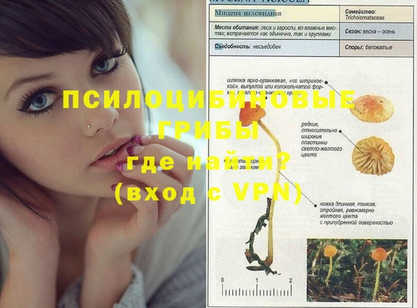 2c-b Белоозёрский
