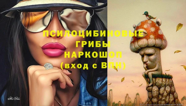 2c-b Белоозёрский