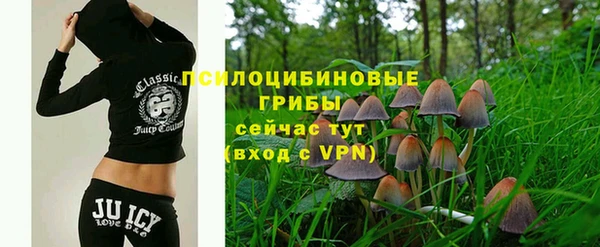 apvp Беломорск