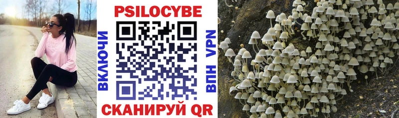 хочу наркоту  Куйбышев  Галлюциногенные грибы Psilocybine cubensis 